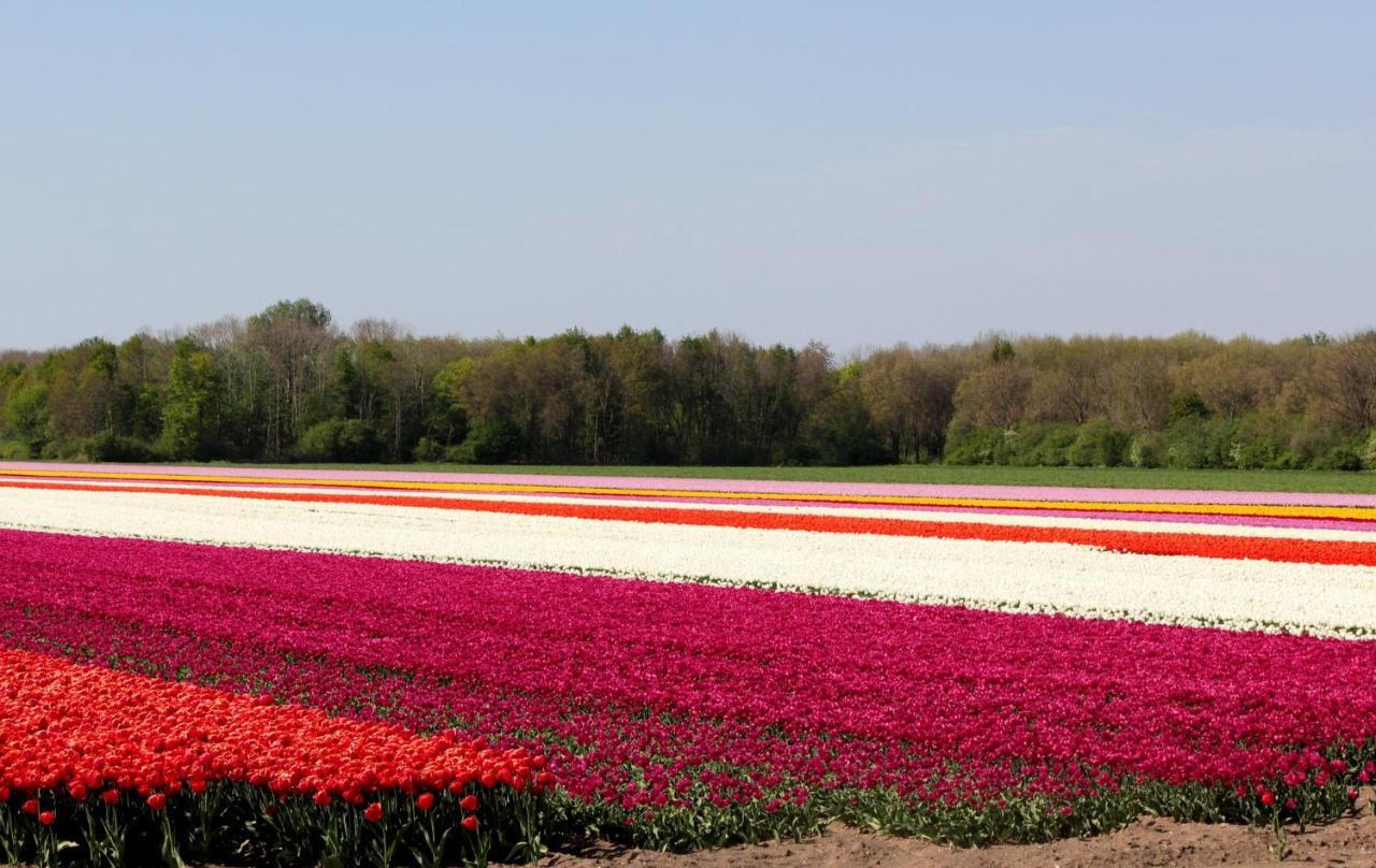 Finca Noordwijk Downtown Noordwijk Ngoại thất bức ảnh