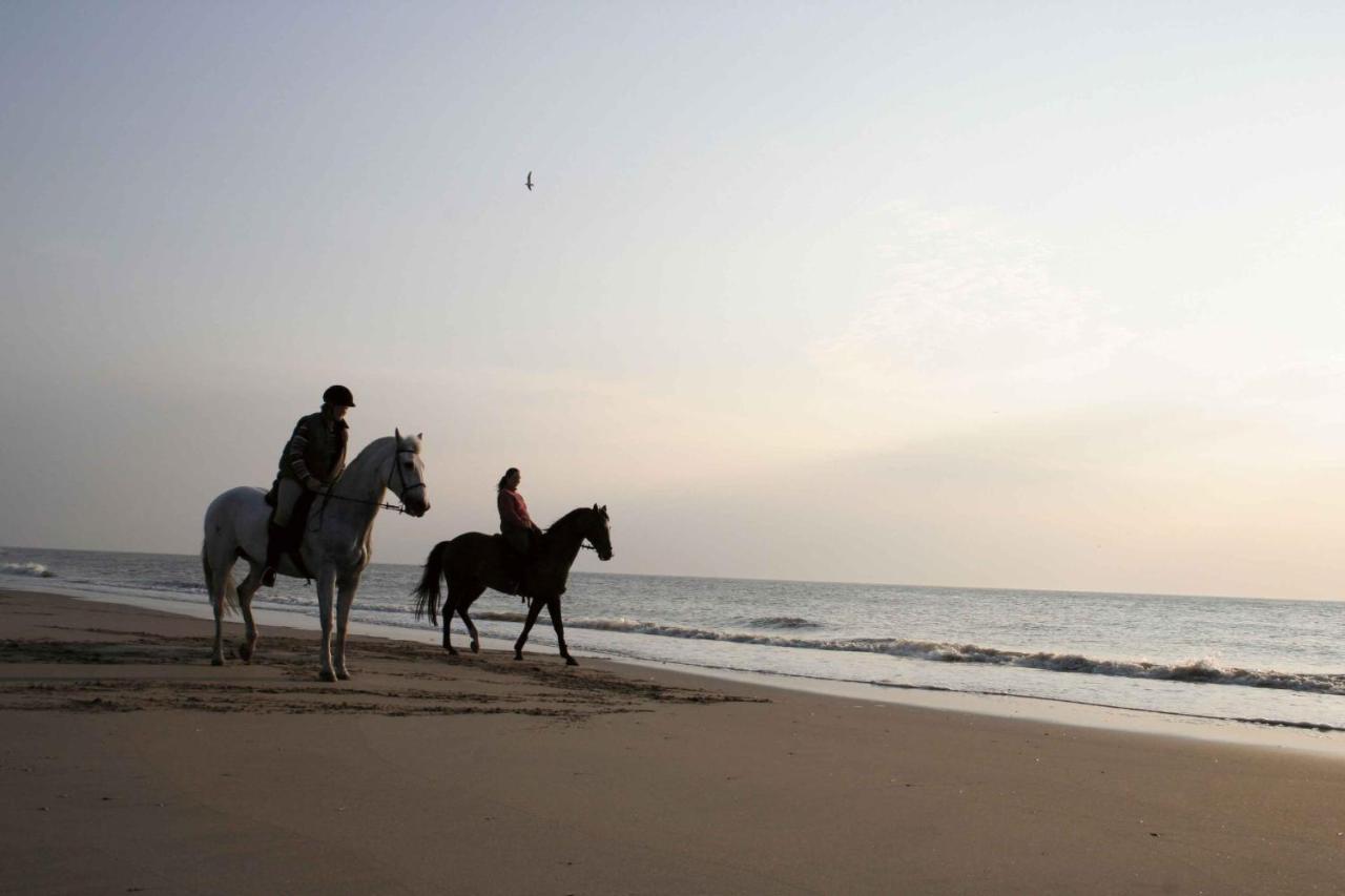 Finca Noordwijk Downtown Noordwijk Ngoại thất bức ảnh