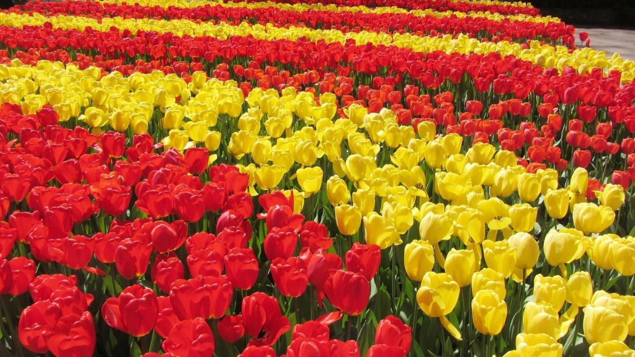 Finca Noordwijk Downtown Noordwijk Ngoại thất bức ảnh
